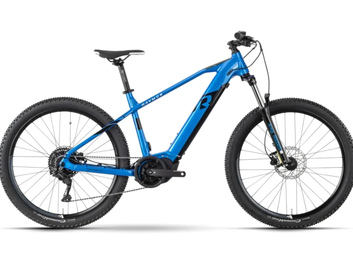 Raymon HardRay E 6.0 - 630 Wh - 29 Zoll - Diamant