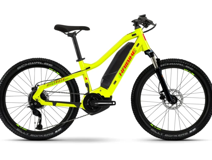 Haibike Alltrack Kids - 400 Wh - 24 Zoll - Diamant
