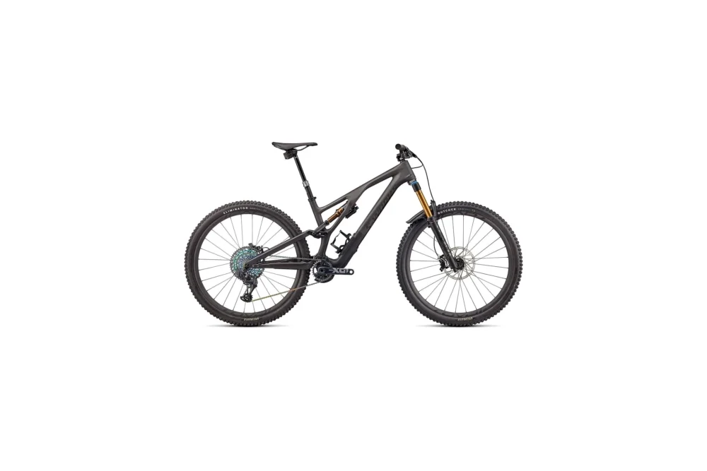 Specialized Stumpjumper Evo S-Works - Aktion - 29 Zoll - Fully