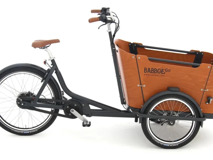Babboe Go Mountain - 500 Wh - 2024 - 26 Zoll