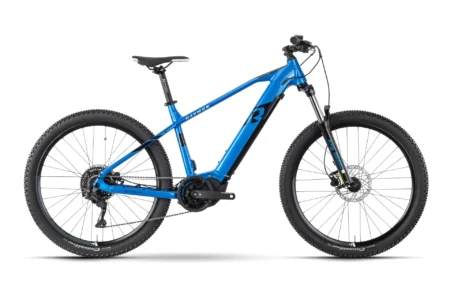 Raymon HardRay E 6.0 - 630 Wh - 29 Zoll - Diamant