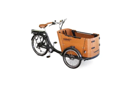 Babboe Go-E Disc - 450 Wh - 2024 - 26 Zoll
