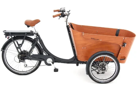 Babboe Flow-E - 450 Wh - 2024 - 26 Zoll
