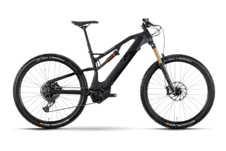 Raymon FullRay 150E 11.0 - 630 Wh - 29 Zoll - Fully