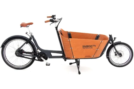 Babboe Mini Mountain - 500 Wh - 2024 - 26 Zoll
